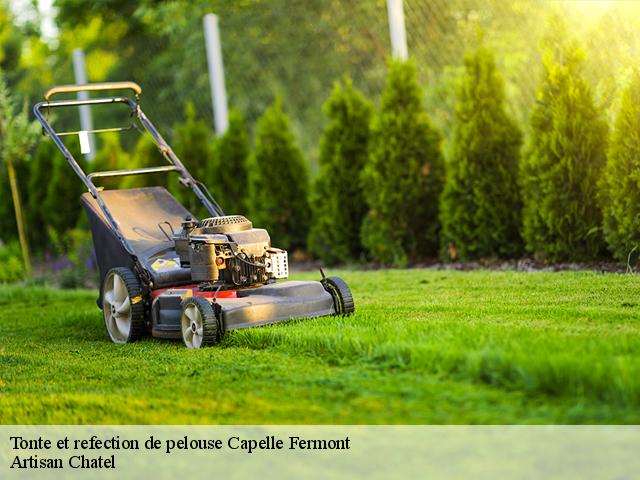 Tonte et refection de pelouse  capelle-fermont-62690 Artisan Chatel
