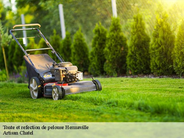 Tonte et refection de pelouse  hermaville-62690 Artisan Chatel