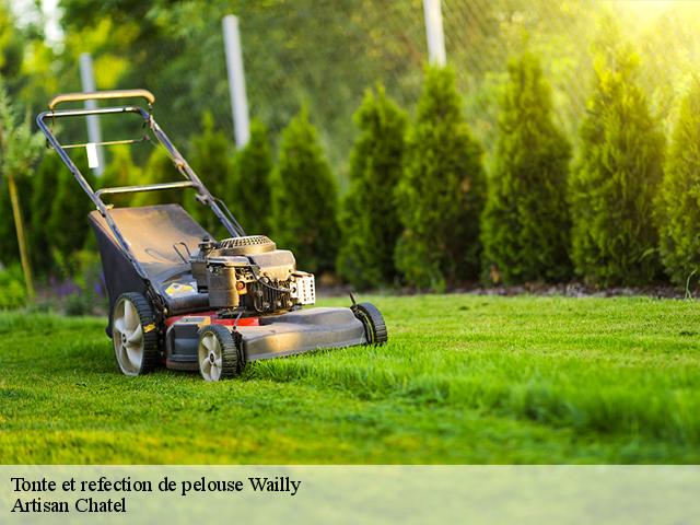 Tonte et refection de pelouse  wailly-62217 Artisan Chatel