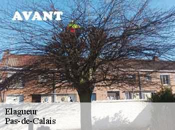 Elagueur Pas-de-Calais